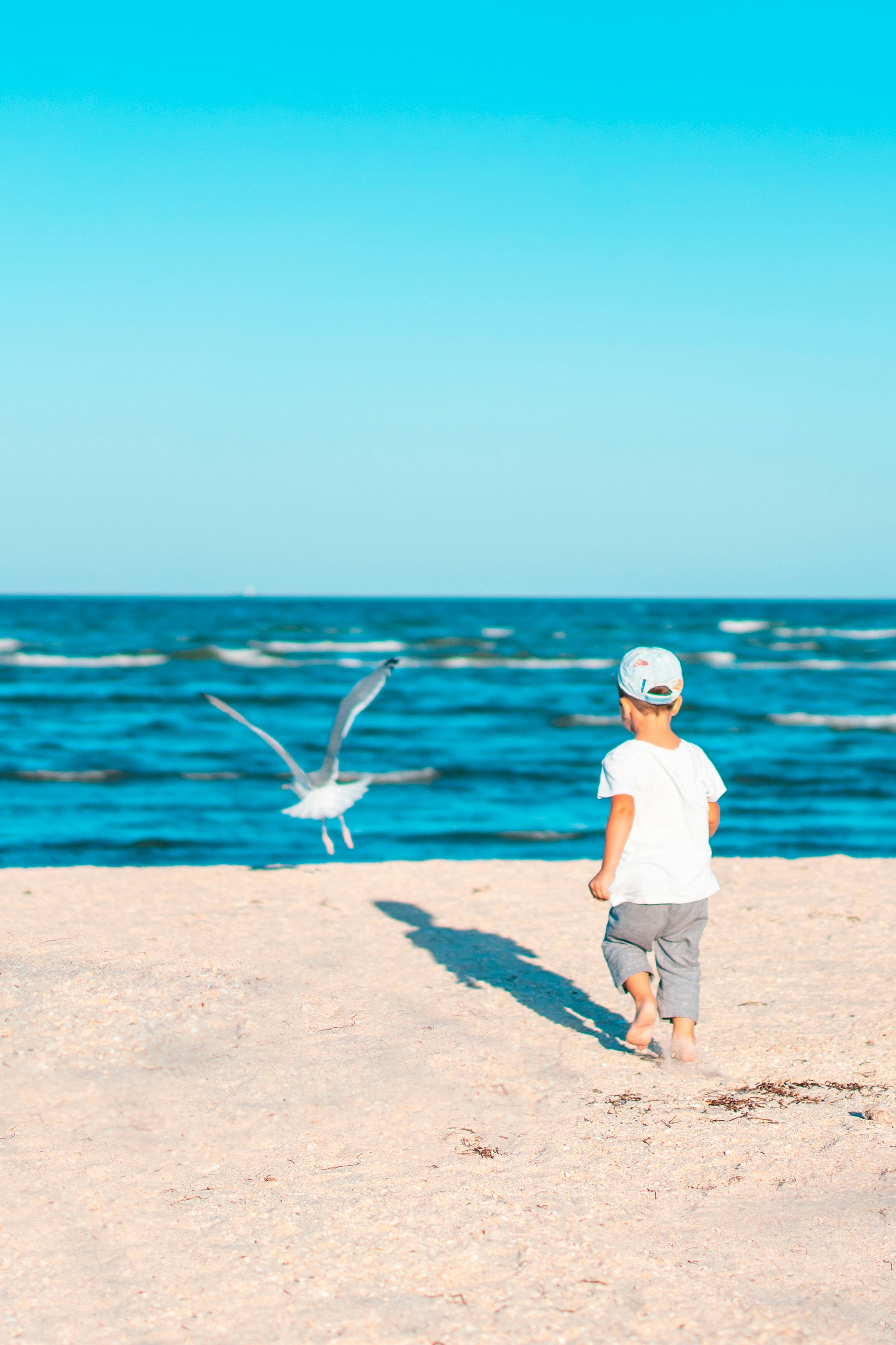 Toddler Summer Collection